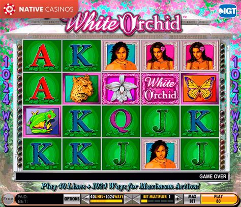 play white orchid|Play Free White Orchid IGT Online Slot Machine Game.